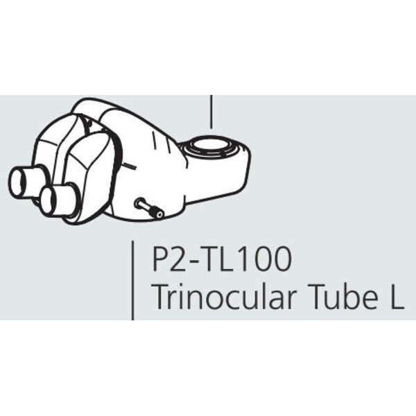 Nikon Stereohuvud P2-TL100 Trino Tube 100 (100/0 : 0/100)