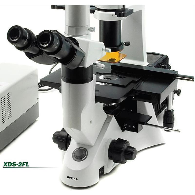 Optika XDS-2FL, trinokulärt, inverterat, fluorescens